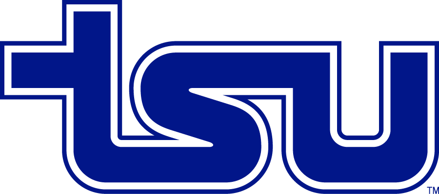 Tennessee State Tigers 1979-2020 Secondary Logo iron on transfers for clothing